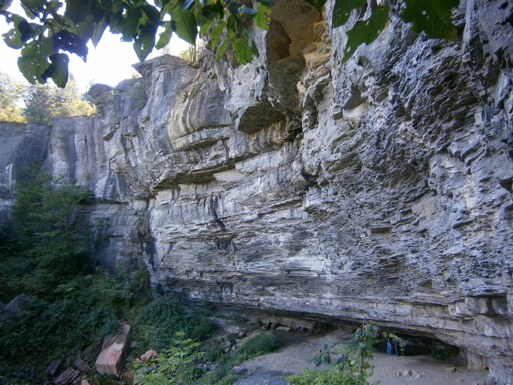 fall2015-Niskayuna-P9190882