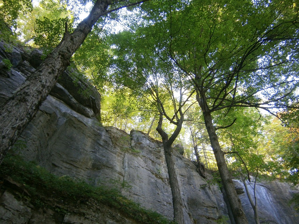 fall2015-Niskayuna-P9190886