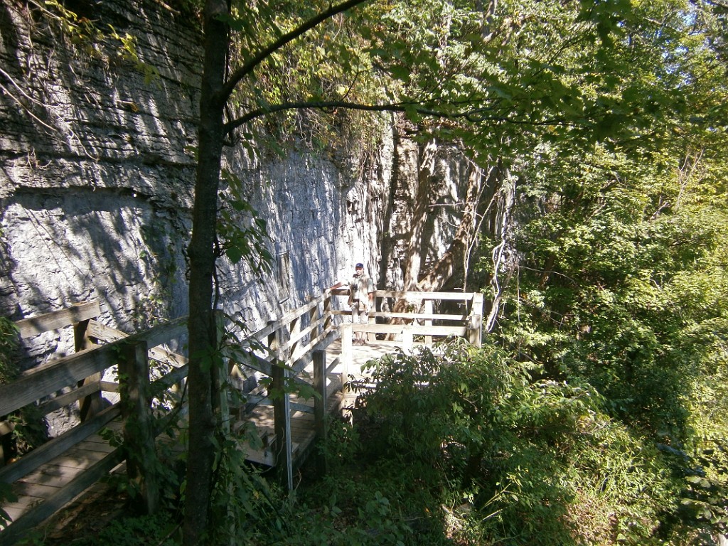 fall2015-Niskayuna-P9190888