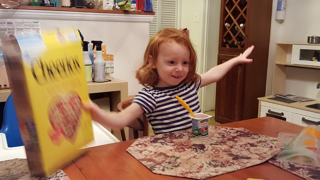 fall2015-babysittingDC-20151107_075846