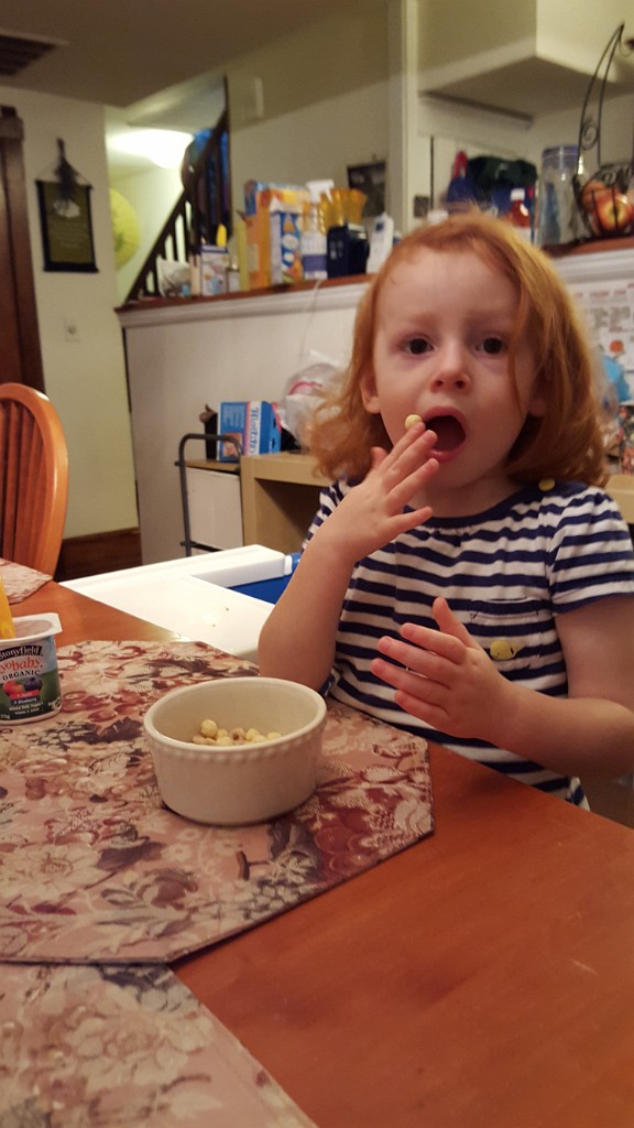 fall2015-babysittingDC-20151107_080840