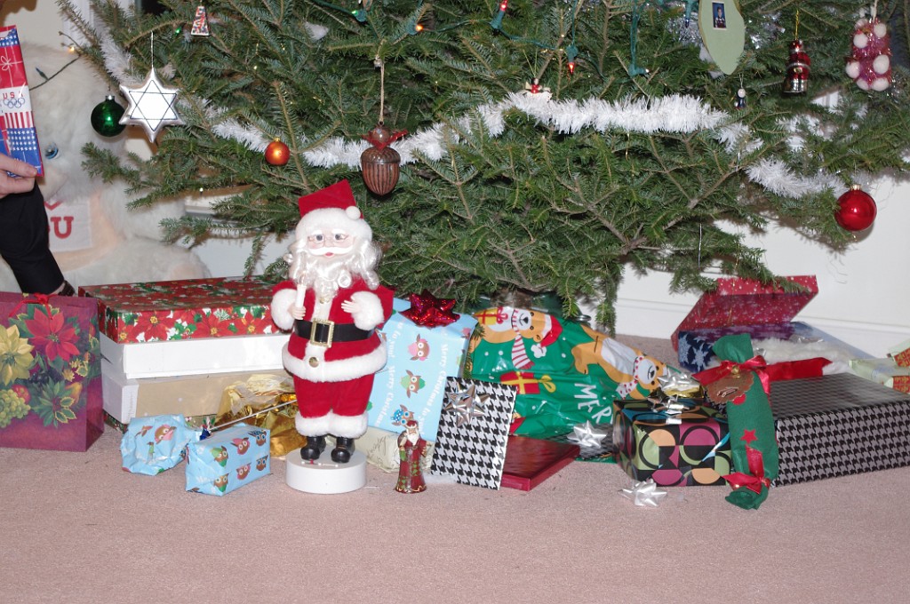 winter2015-NewYears-IMGP6565