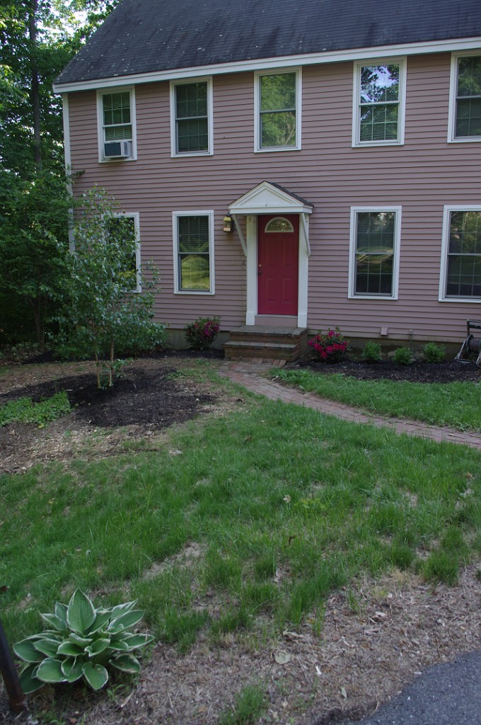 spring2015-Trees-IMGP7146