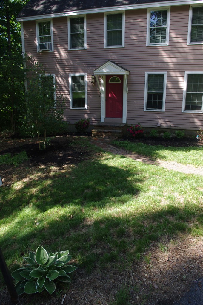 spring2015-Trees-IMGP7161