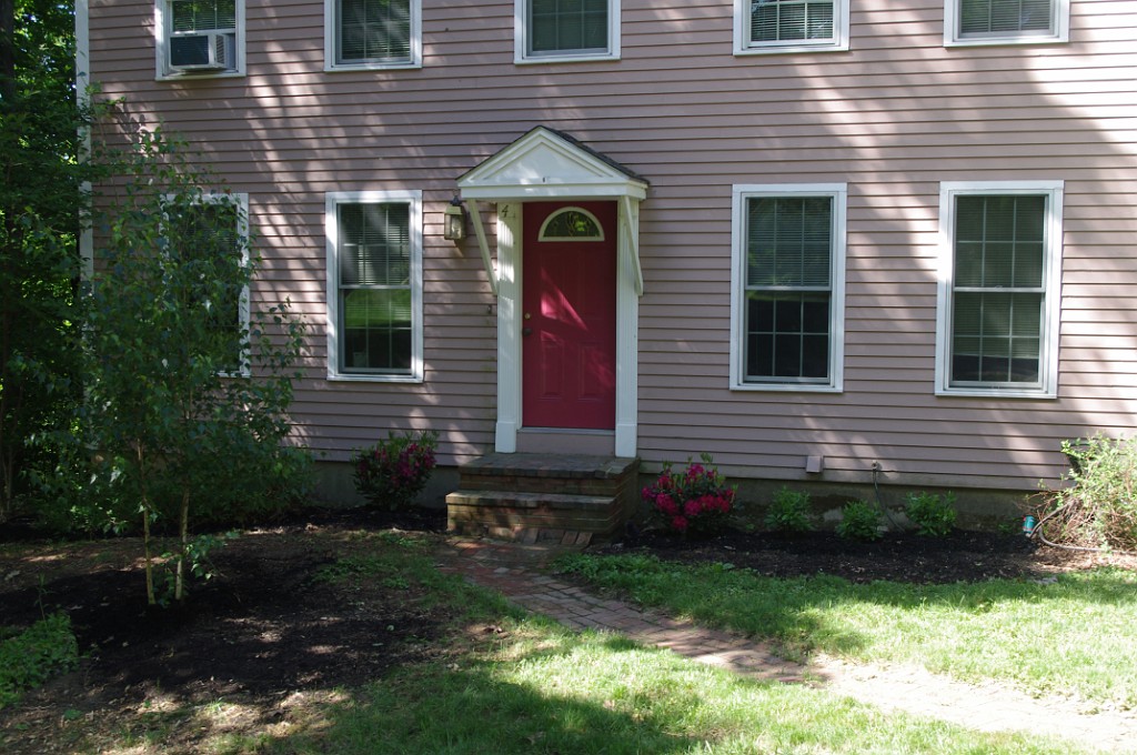 spring2015-Trees-IMGP7162