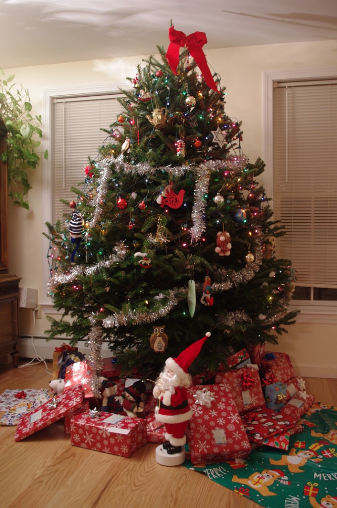 winter2016-NewYears-IMGP7277