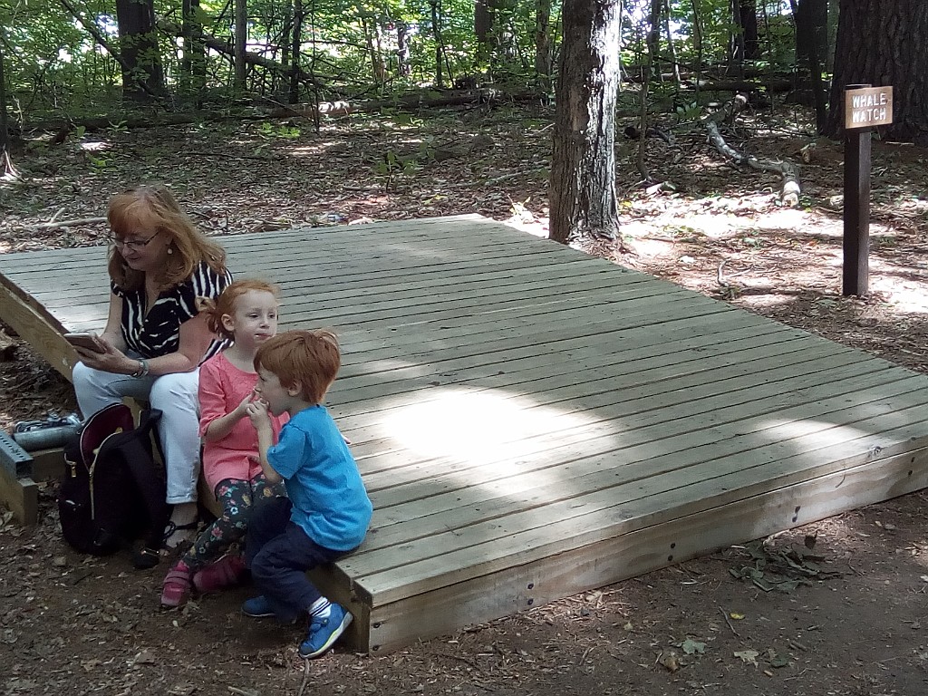 summer2017-Dover-IMG_20170813_114128