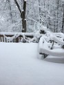 winter2017-IMG_1825 