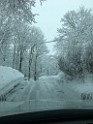 winter2017-IMG_1827 