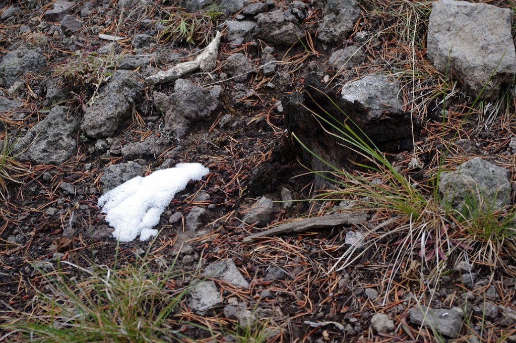 yellowstone2017-2-IMGP7655