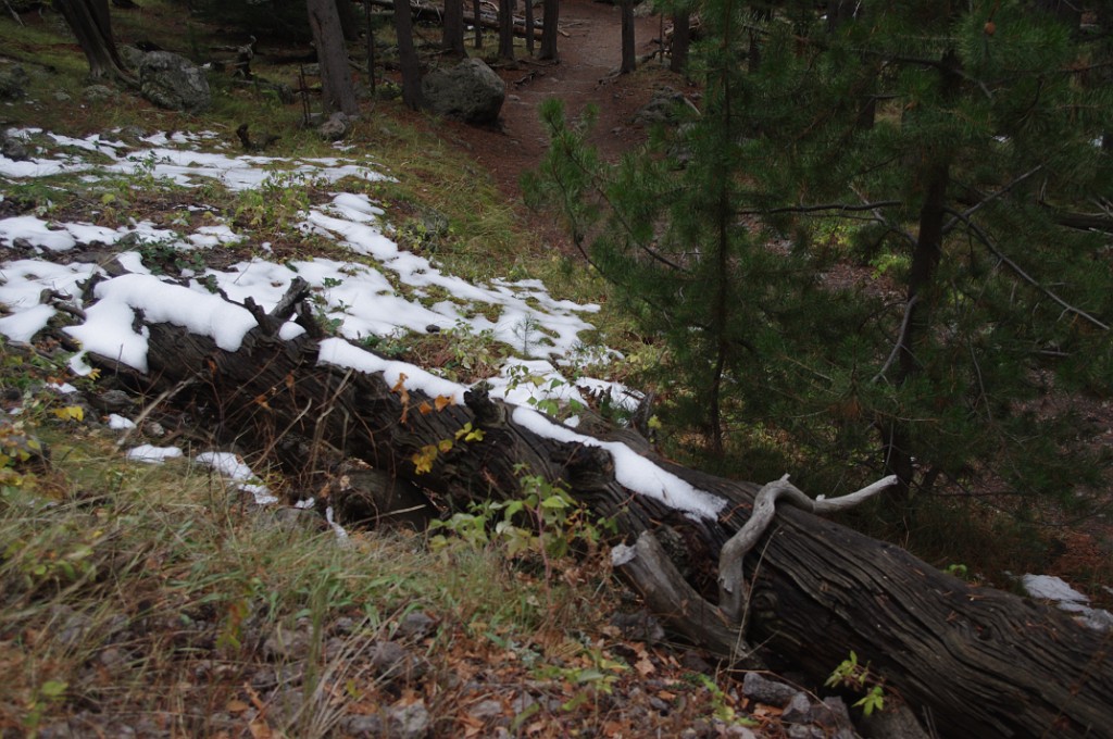 yellowstone2017-2-IMGP7679