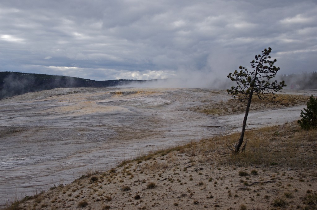 yellowstone2017-2-IMGP7727
