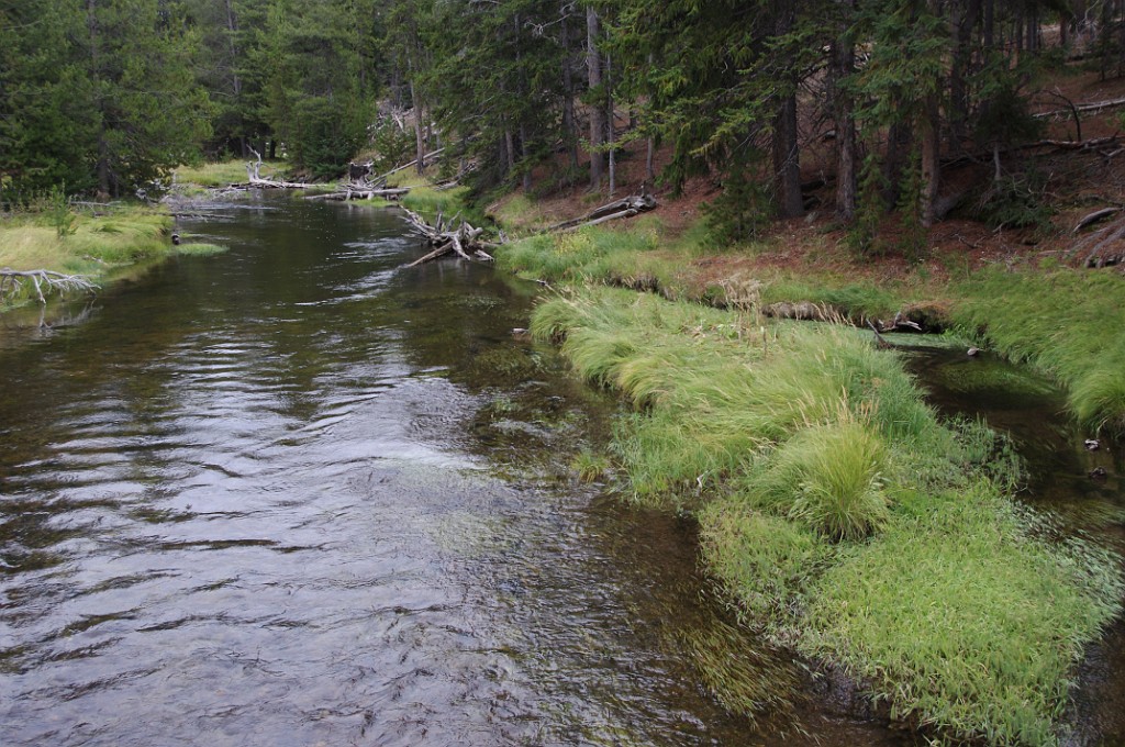 yellowstone2017-2-IMGP7754