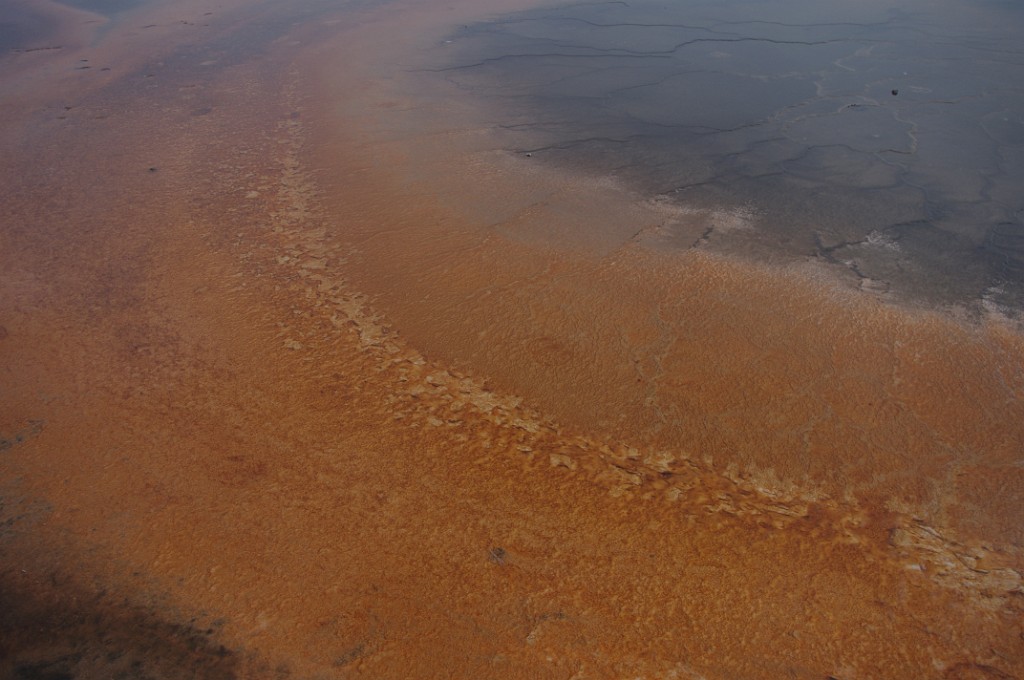yellowstone2017-2-IMGP7790