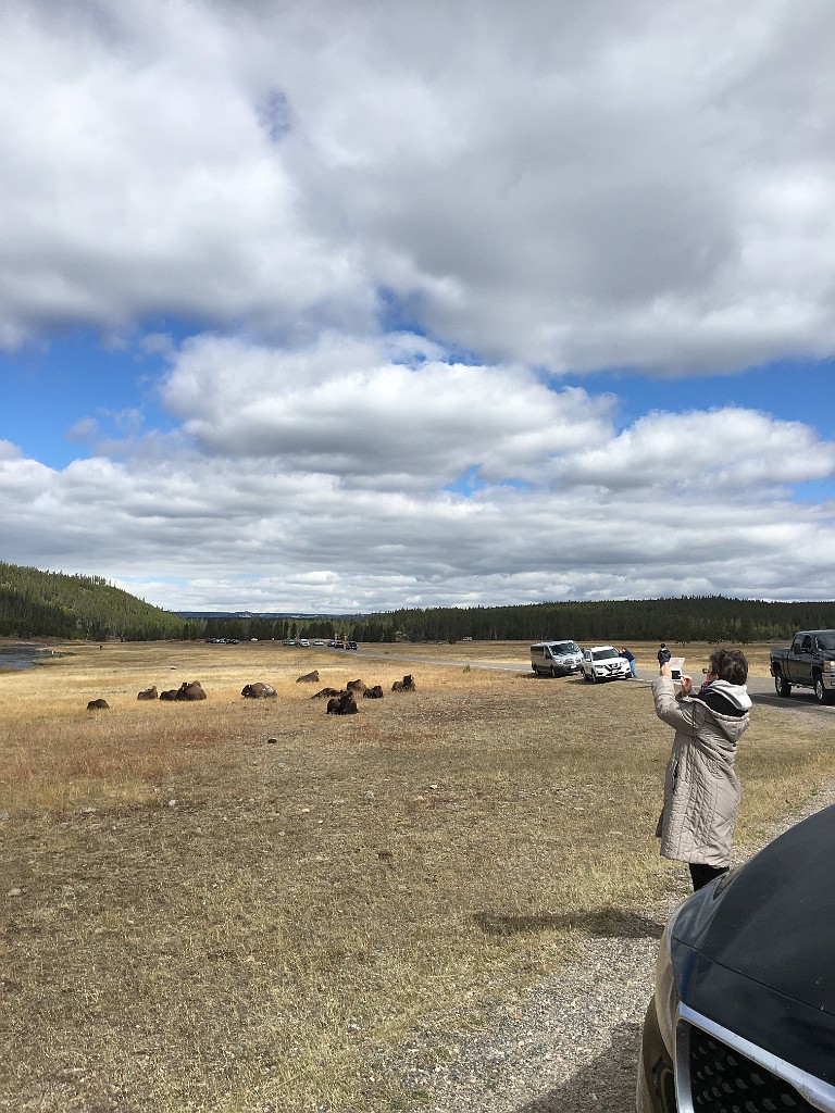 yellowstone2017-2-iphone-IMG_2929