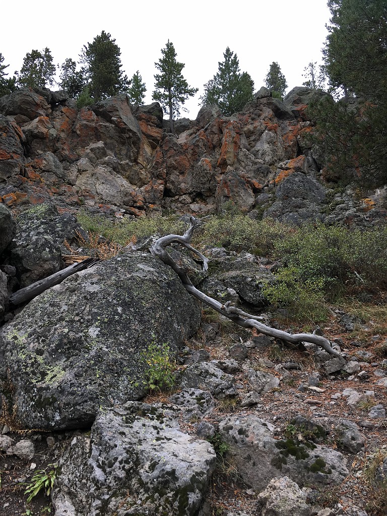 yellowstone2017-2-iphone-IMG_2944