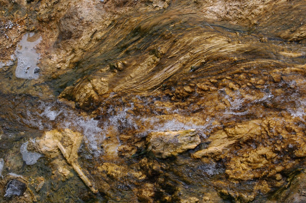 yellowstone2017-3-IMGP7808