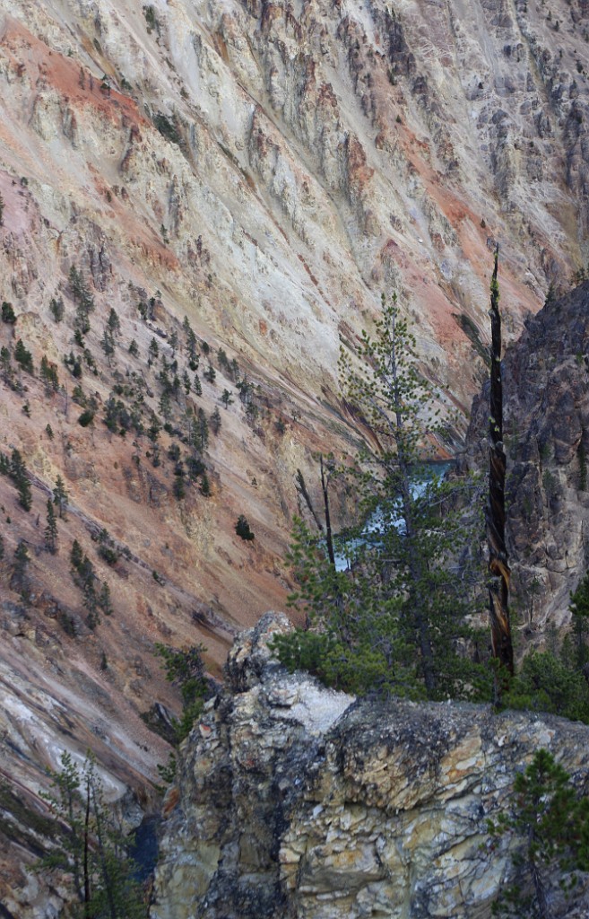 yellowstone2017-3-IMGP7895