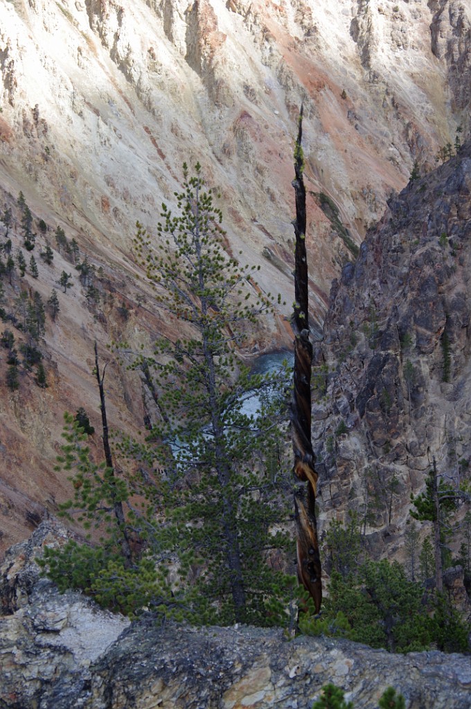 yellowstone2017-3-IMGP7910