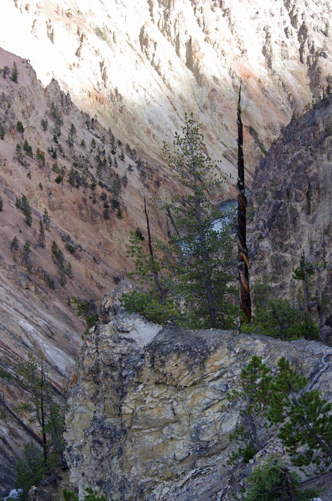 yellowstone2017-3-IMGP7913