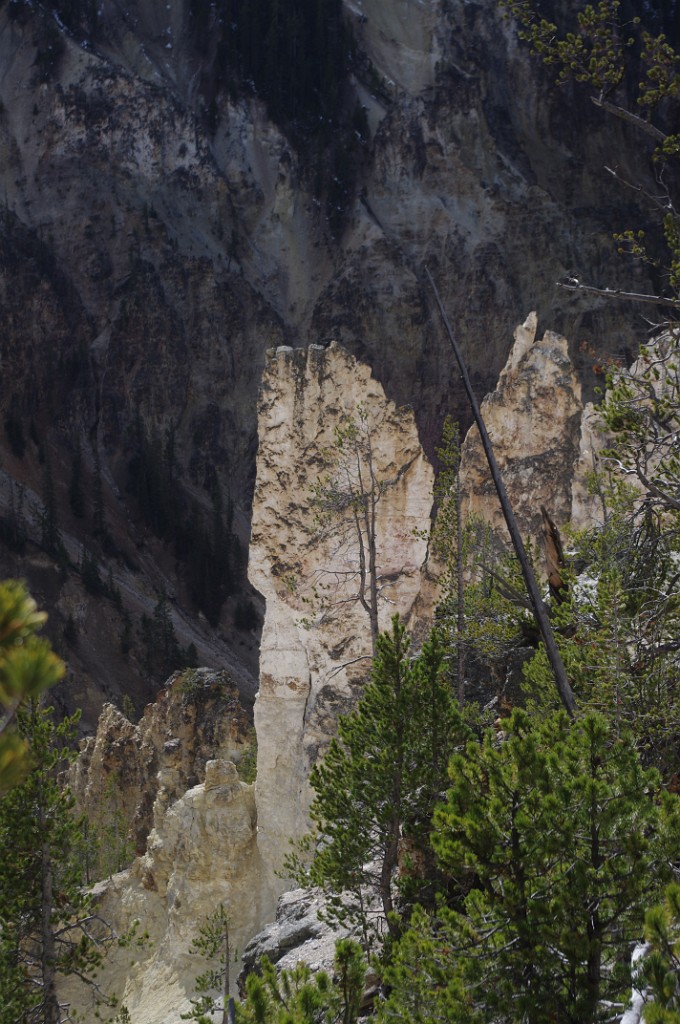 yellowstone2017-3-IMGP7967