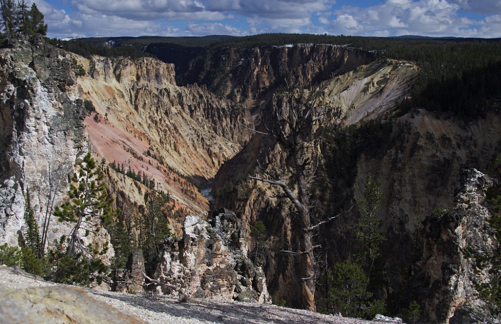 yellowstone2017-3-IMGP7989