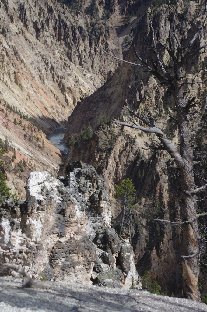 yellowstone2017-3-IMGP7991