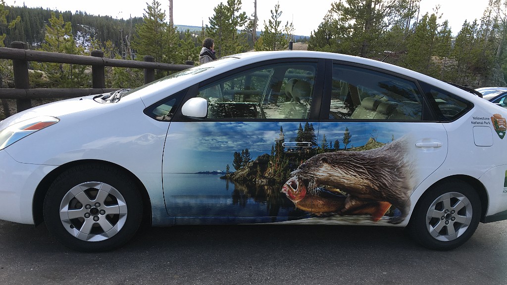 yellowstone2017-3-iphone-IMG_3192