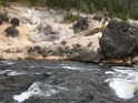 yellowstone2017-3-katya-IMG_0830 
