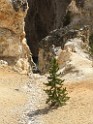 yellowstone2017-3-katya-IMG_3067 