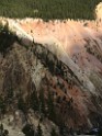 yellowstone2017-3-katya-IMG_6627 