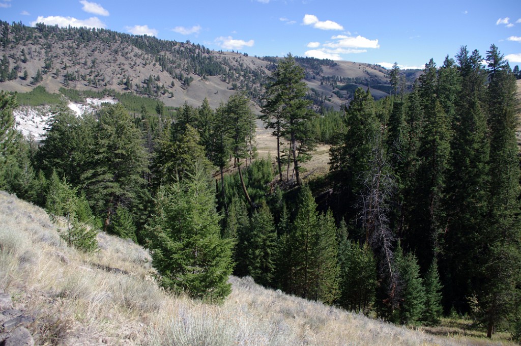 yellowstone2017-4-IMGP8174