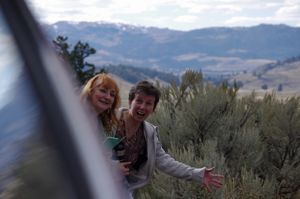 yellowstone2017-4-IMGP8307