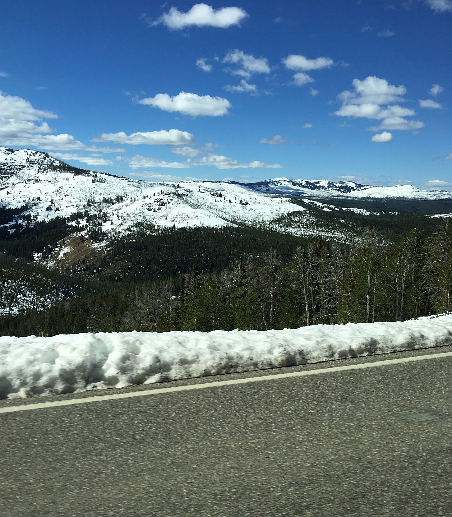 yellowstone2017-4-iphone-IMG_3298