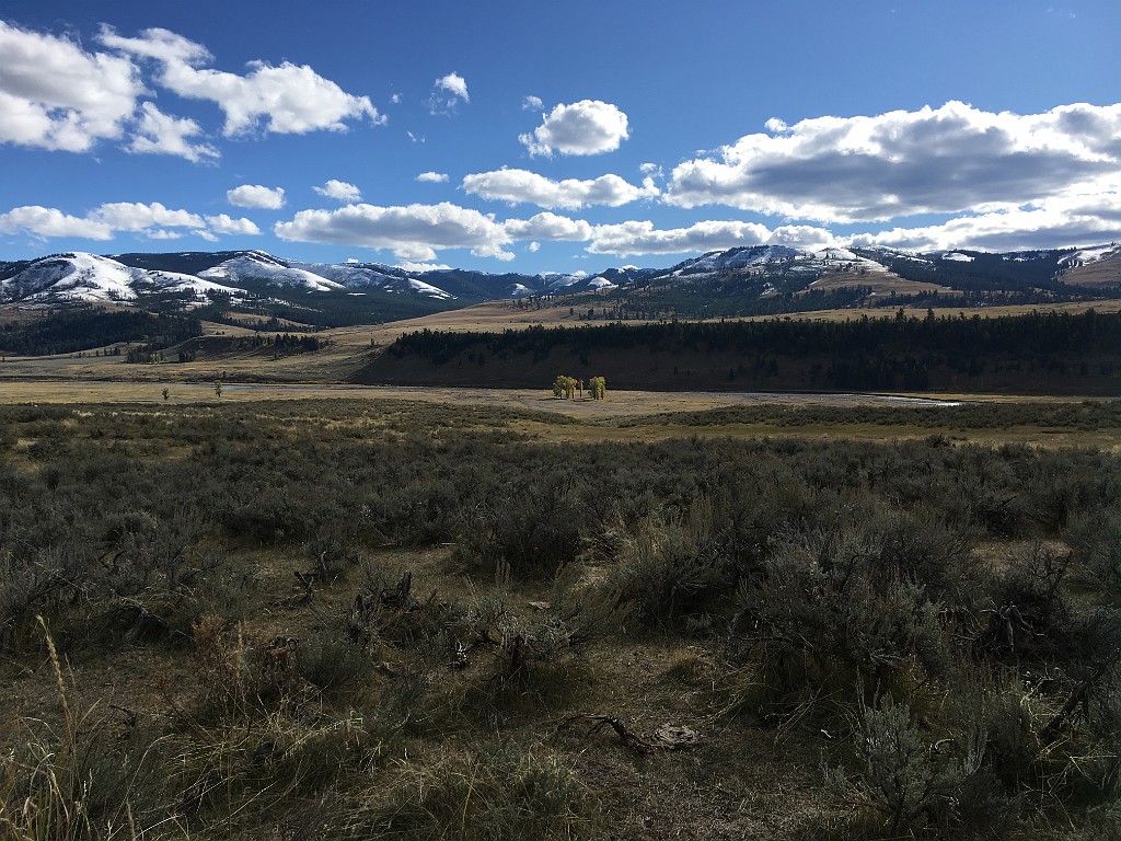yellowstone2017-4-iphone-IMG_3418