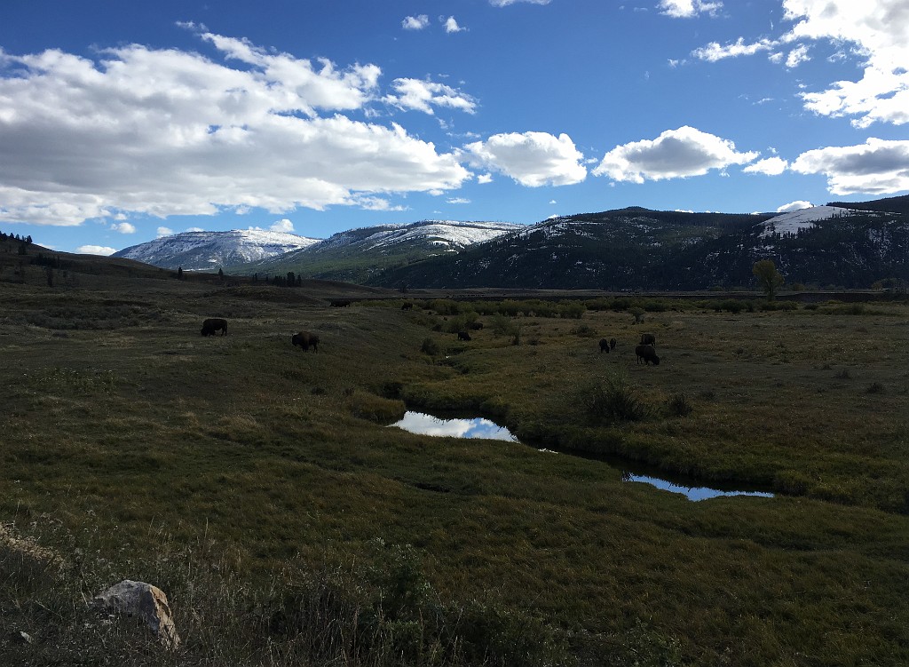 yellowstone2017-4-iphone-IMG_3453