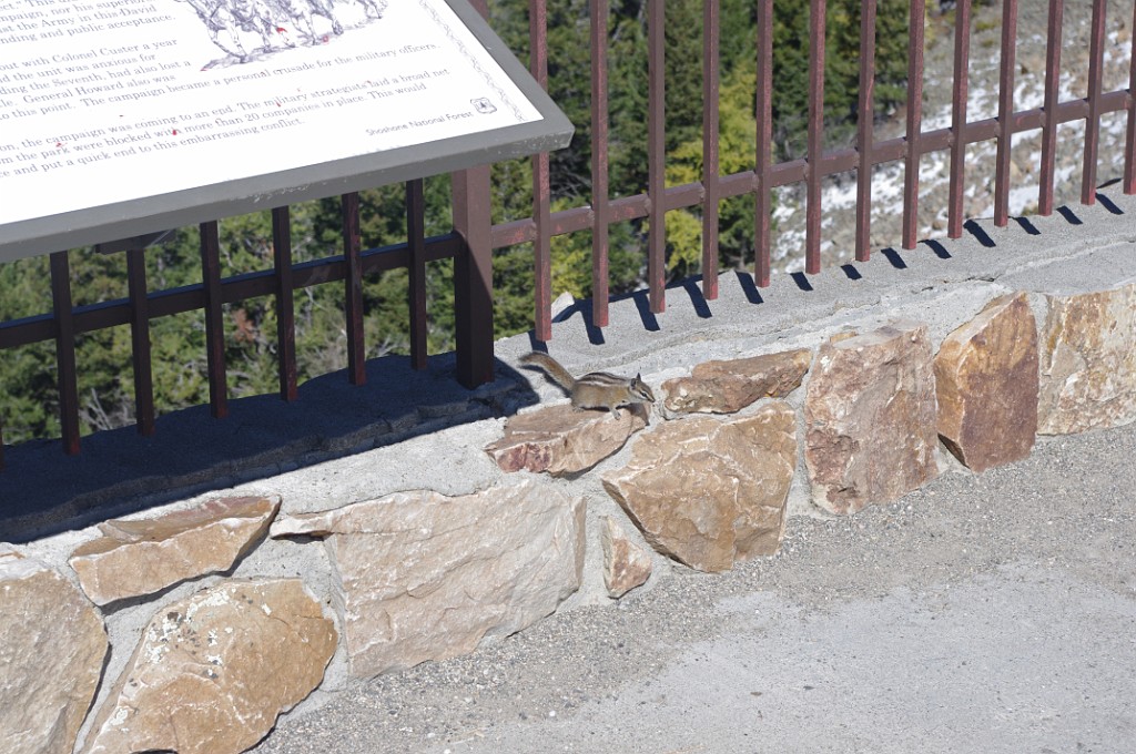 yellowstone2017-5-IMGP8535