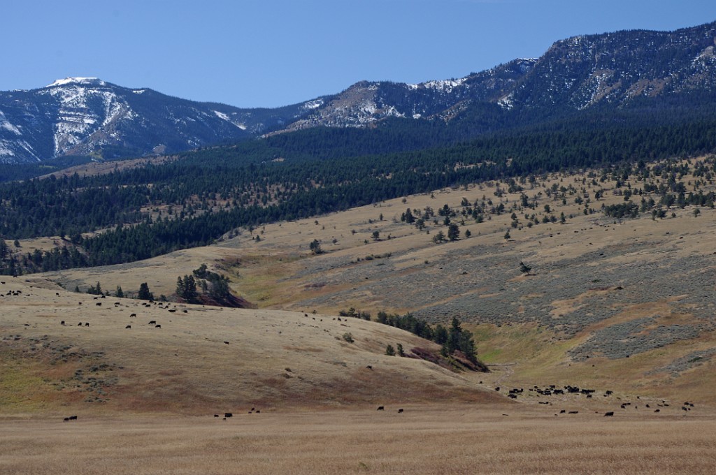 yellowstone2017-5-IMGP8566