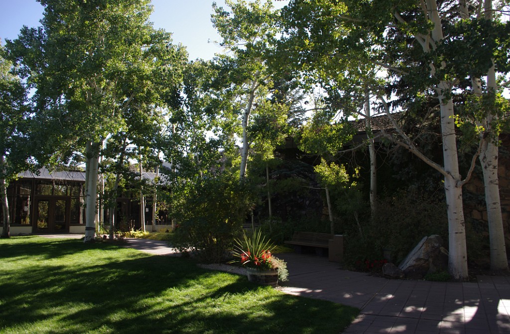 yellowstone2017-5-IMGP8594