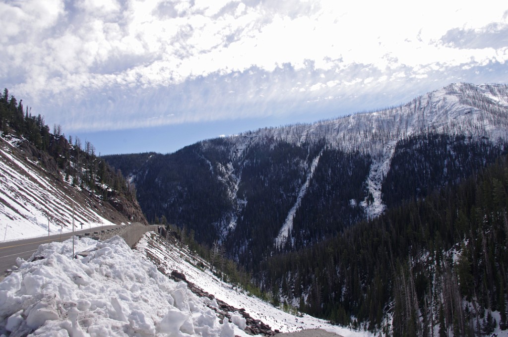 yellowstone2017-6-IMGP8644