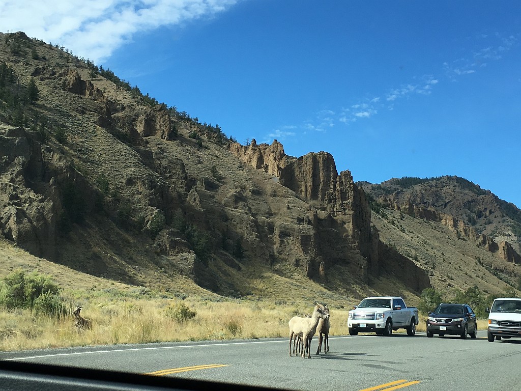 yellowstone2017-6-iphone-IMG_3902