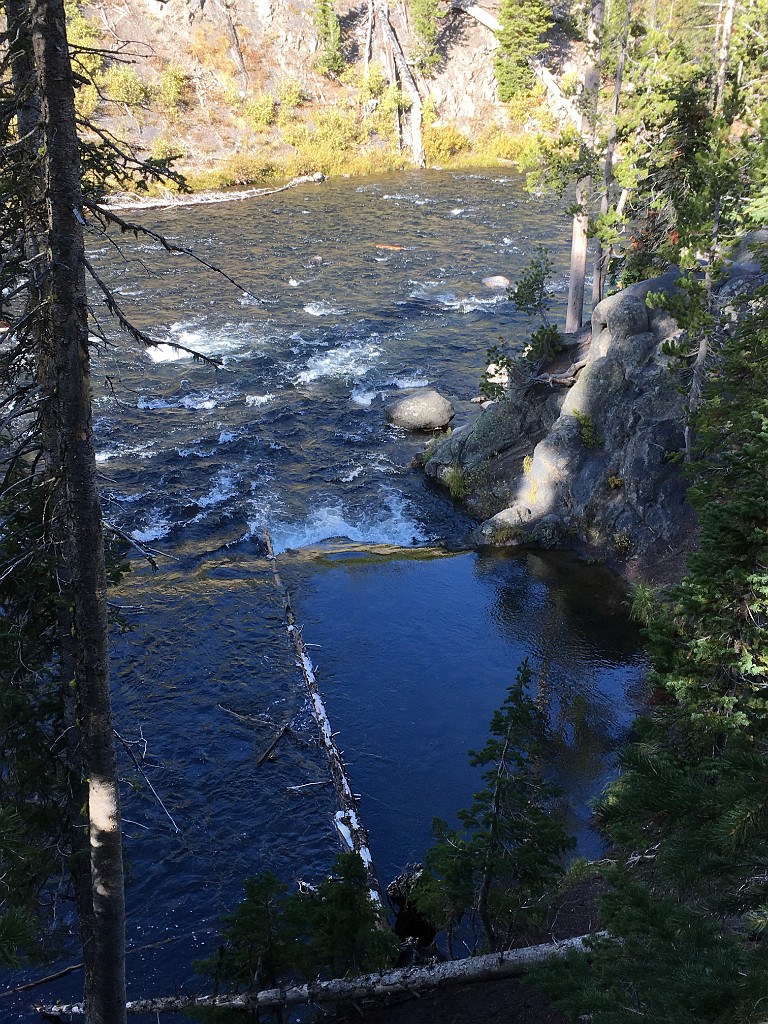 yellowstone2017-6-katya-IMG_4560