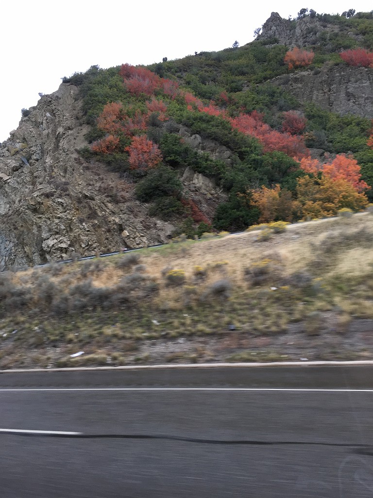 yellowstone2017-7-iphone-IMG_4432