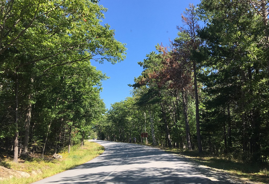 acadiaPark2018-IMG_7235
