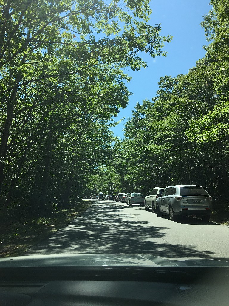 acadiaPark2018-IMG_7250