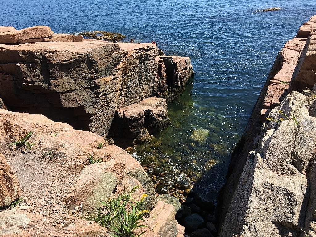 acadiaPark2018-IMG_7265