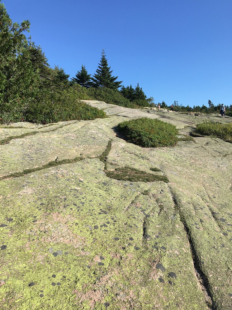 acadiaPark2018-IMG_7291