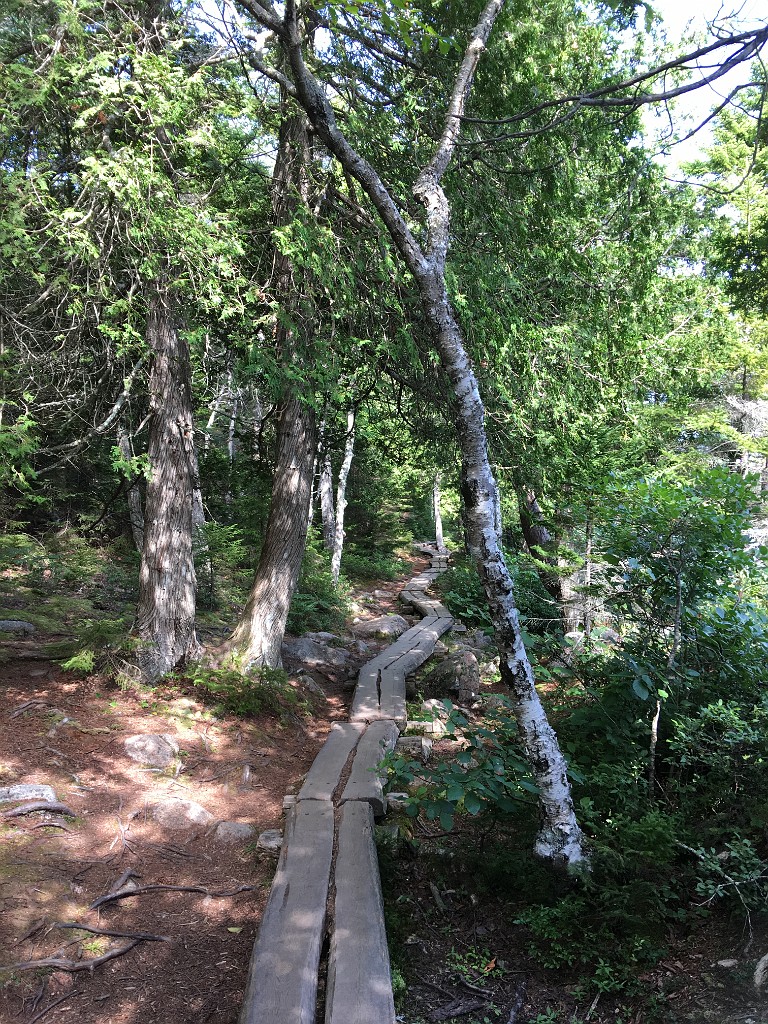 acadiaPark2018-IMG_7306