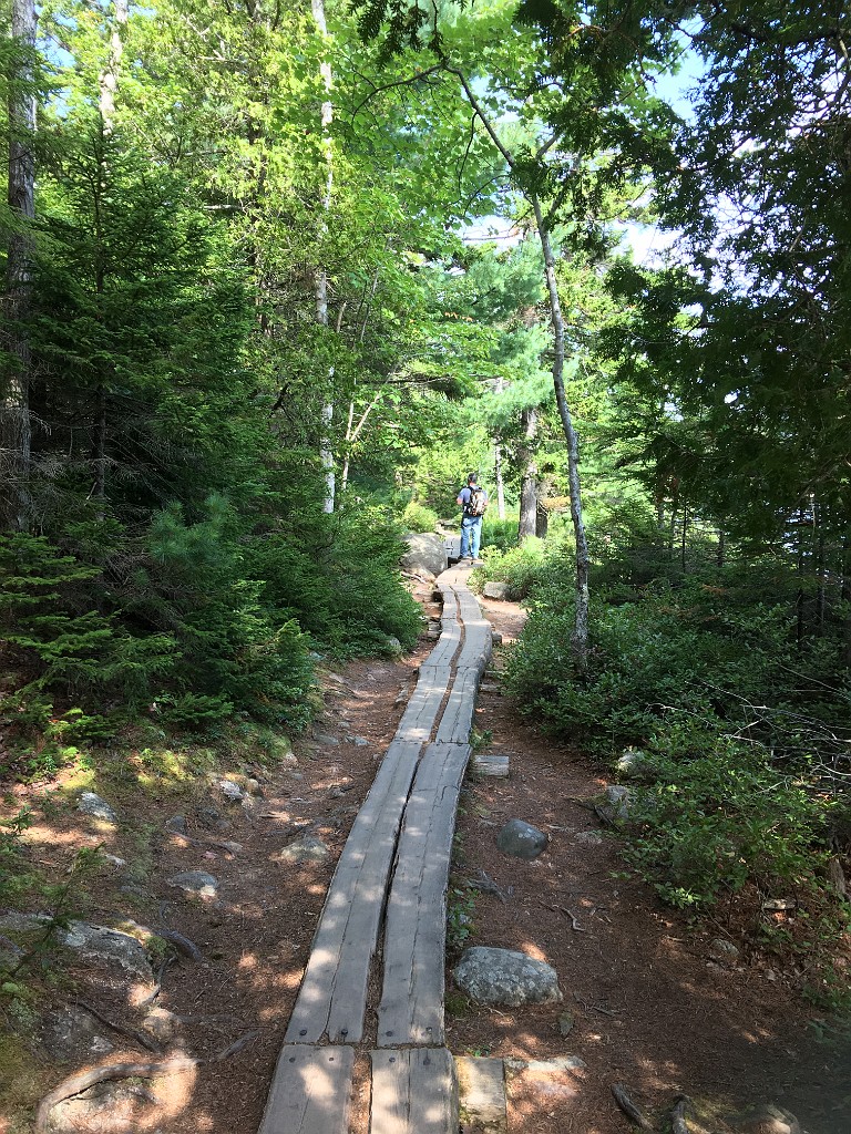 acadiaPark2018-IMG_7309