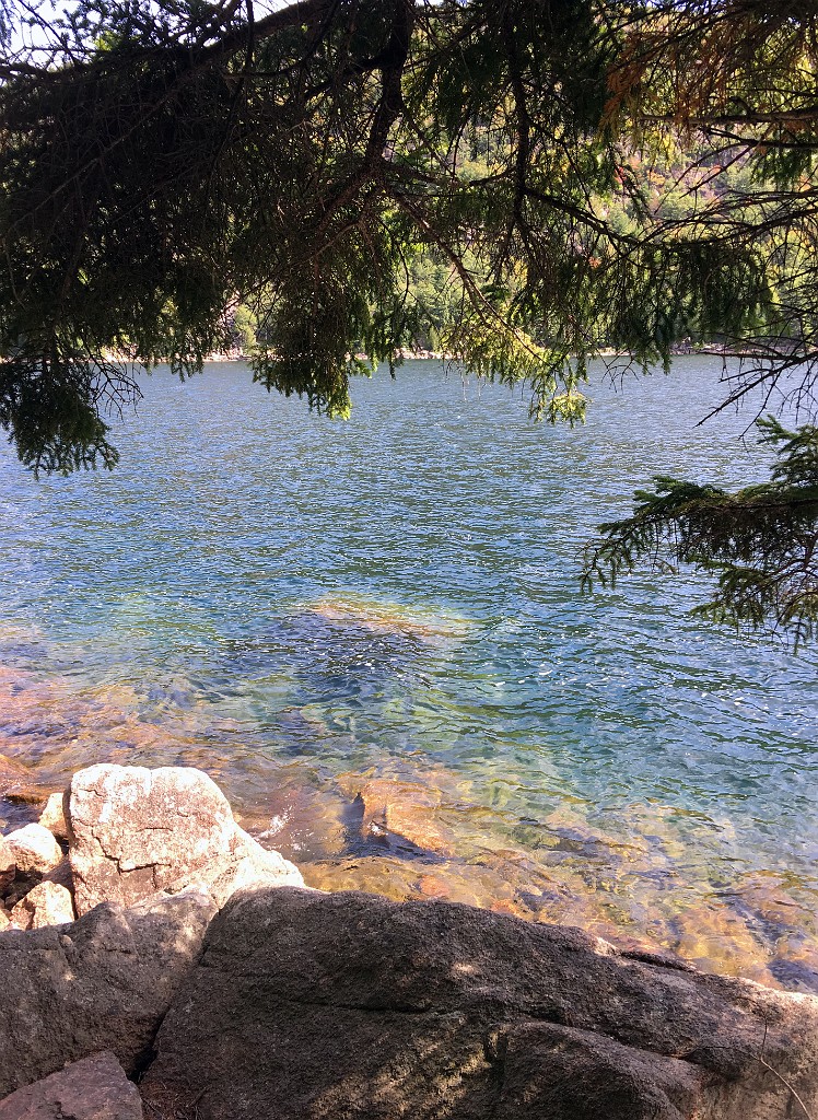 acadiaPark2018-IMG_7340